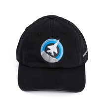 Load image into Gallery viewer, Boeing Skyward Hat Variants