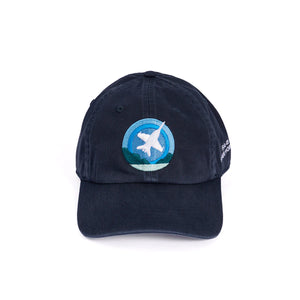Boeing Skyward Hat Variants