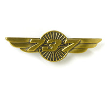 Load image into Gallery viewer, Boeing Wings Pin