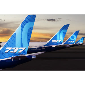 Boeing Unified 787-10 Dreamliner Plastic [1:200]