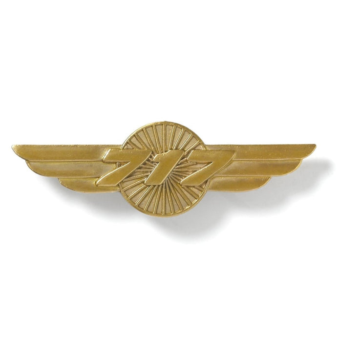 Boeing Wings Pin
